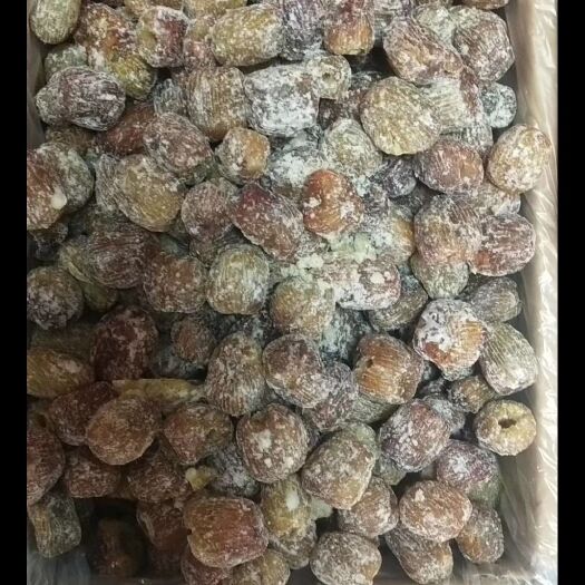 石楼县 纯绿色的红枣