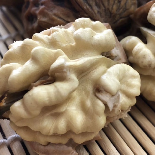 盐源县鲜核桃