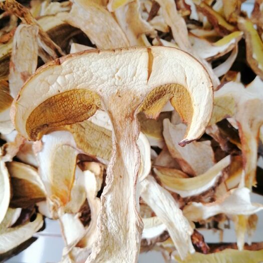 寻甸县美味牛肝菌  牛肝菌，干片，无熏硫500克