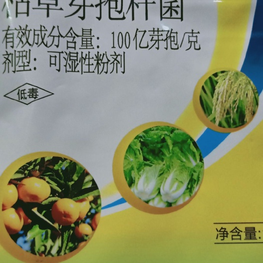扶沟县芽孢杆菌 枯草牙孢杆菌