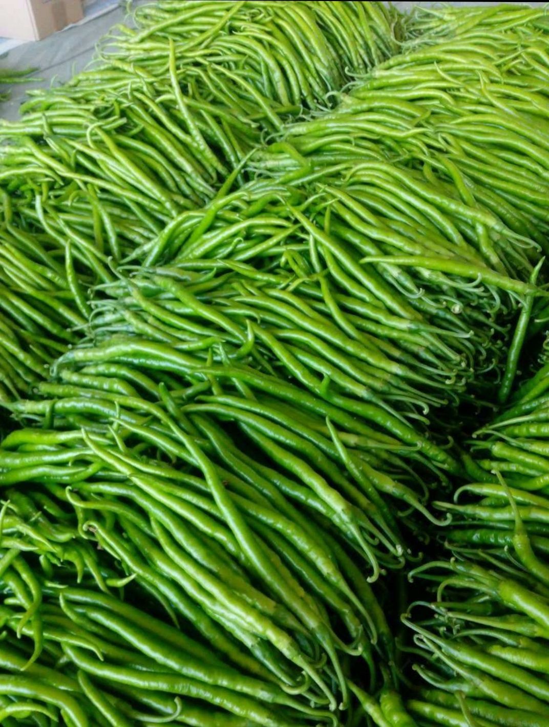 芜湖椒 货品新鲜，送货上门