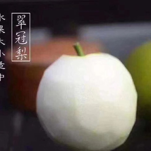 无锡 翠冠梨