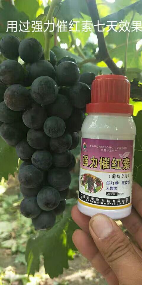 内黄县微量元素肥料 强力催红素葡萄 苹果 梨 枣 石榴果树上色增甜