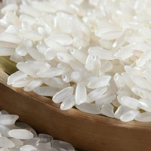 盐城有机米 一等品 一季稻 粳米