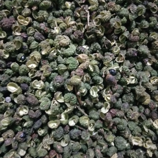 当阳市 云南青花椒，超麻，35一斤。有需要的联系我。