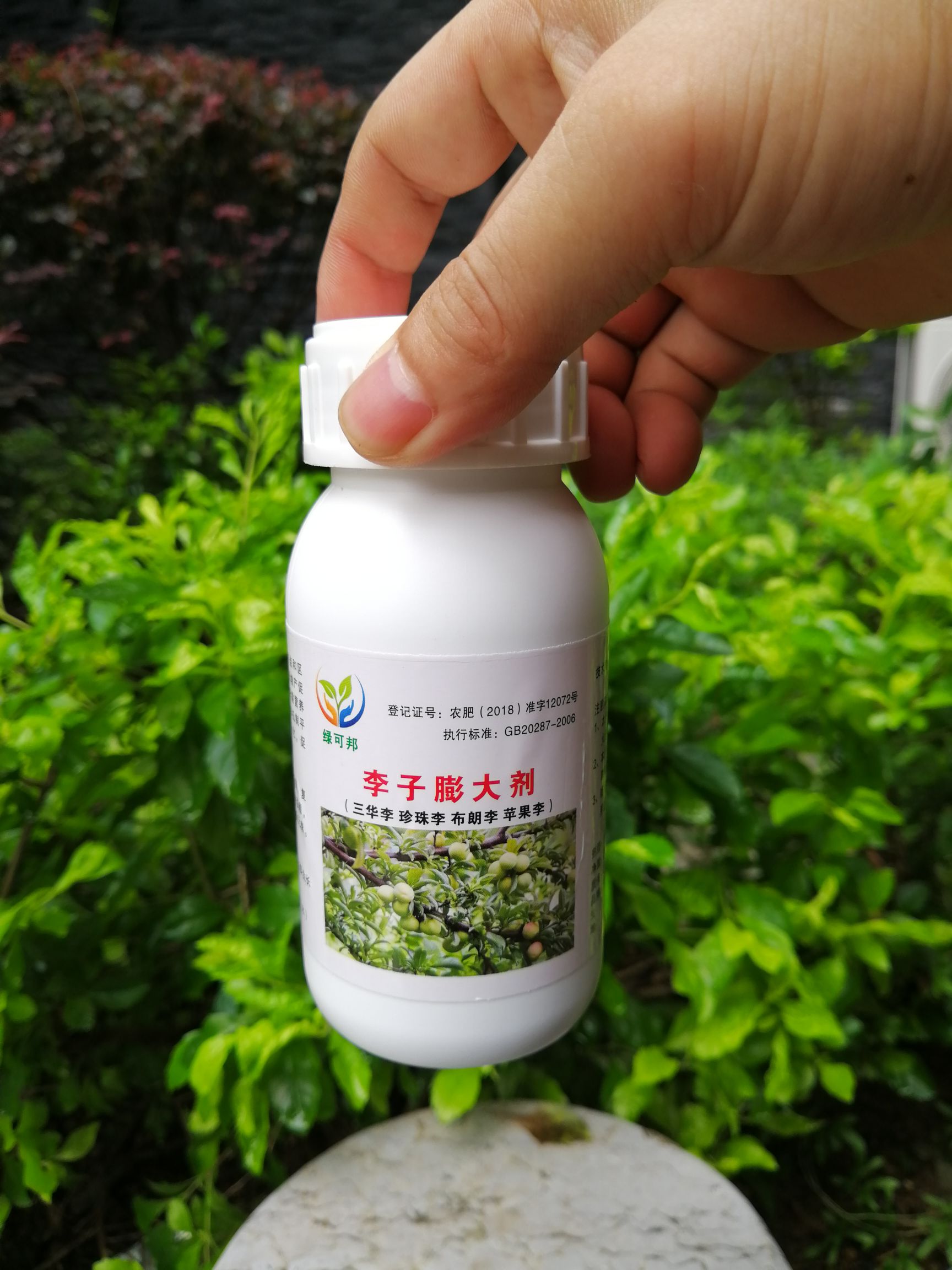 桂林果树营养液 叶面肥 李子专用膨大剂 膨果增甜着色