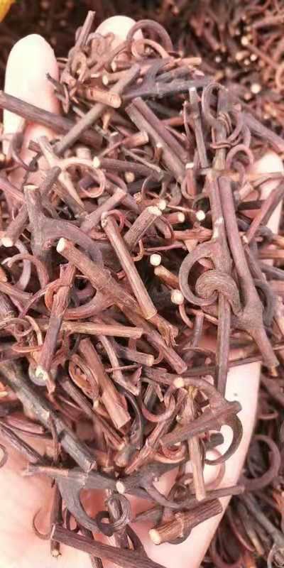 钩藤  正品干货  含钩百分之90 规格齐全一公斤起包邮