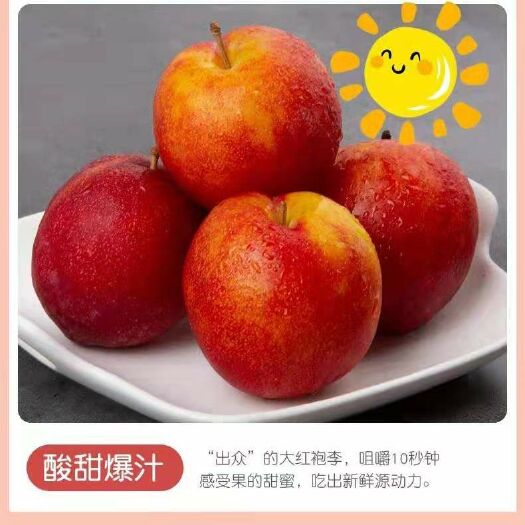 西安 香甜可口大红袍李子红皮黄肉，果肉鲜嫩，吃出新鲜源动力