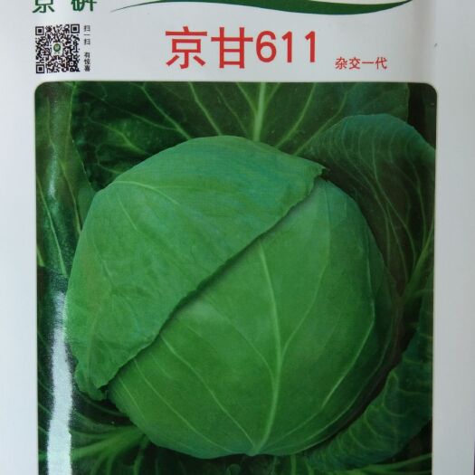 圆包菜种子 10克京研益农杂交一代京甘611圆球型甘蓝种子