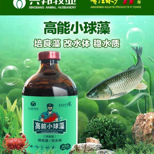 原阳县海藻肥 小球藻，育苗，培藻肥水好产品