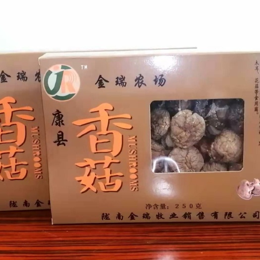 陇南 香菇