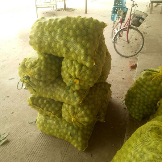 赞皇县 大量青皮核桃，