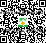 余姚市红颜草莓苗 红颜苗浙江