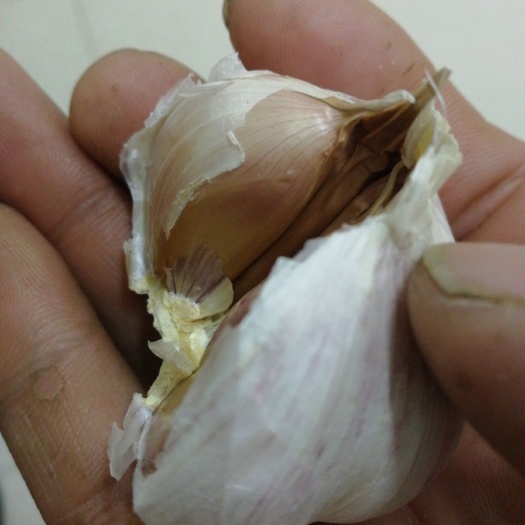 临漳县 大蒜
