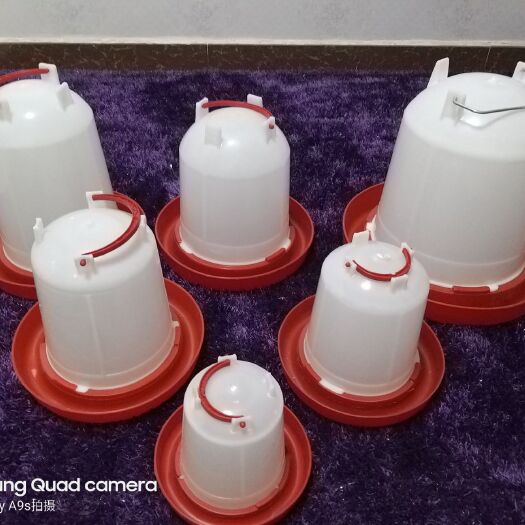 沧县饮水设备 十升水桶鸡用饮水器鸡用水桶鸡鸭鹅用饮水壶养鸡设备