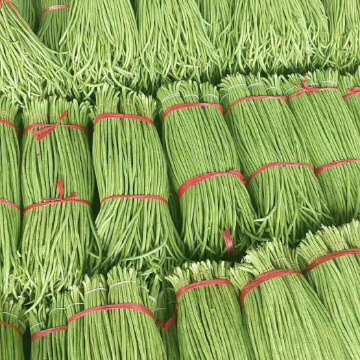 邯郸长豇豆 70cm以上
