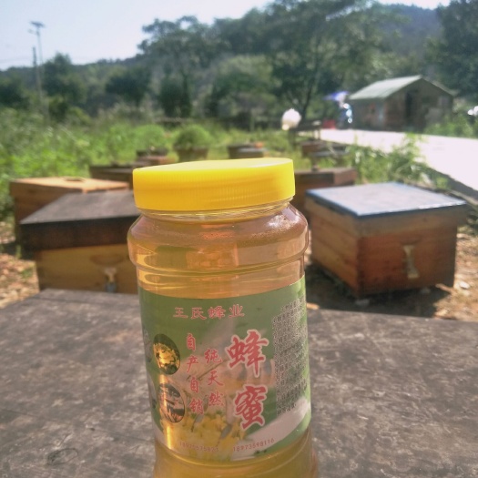 安仁县蜂蜜乌桕蜜农家自产自销天然蜂蜜乌桕蜜2斤/瓶