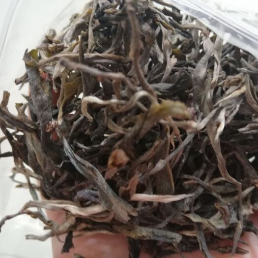 永德县古树晒青 缅甸 果敢生态古树茶