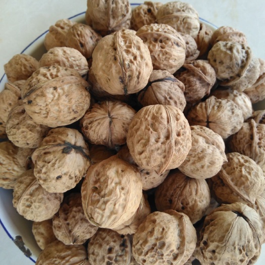云县 不打农药，人工除草去青皮，胡蜂杀虫天然大泡核桃