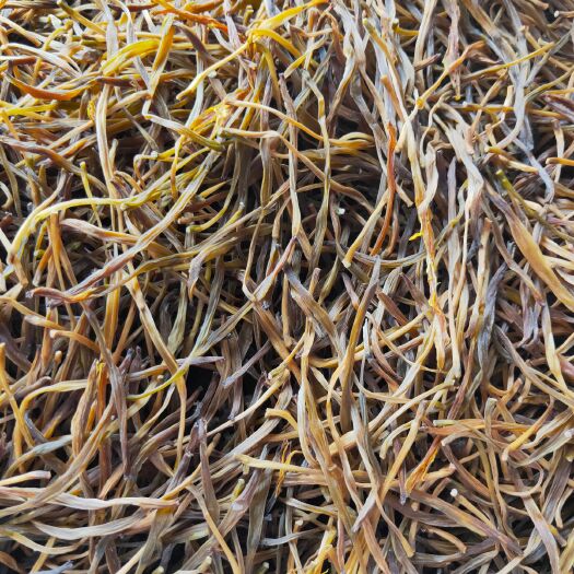 商城县小黄花菜  2024农家天然无硫手工制作熟条黄花菜金针菜忘忧