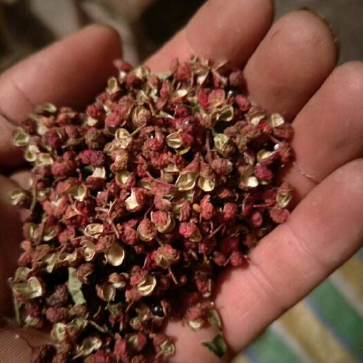 伊川县大红袍花椒 二级 干花椒