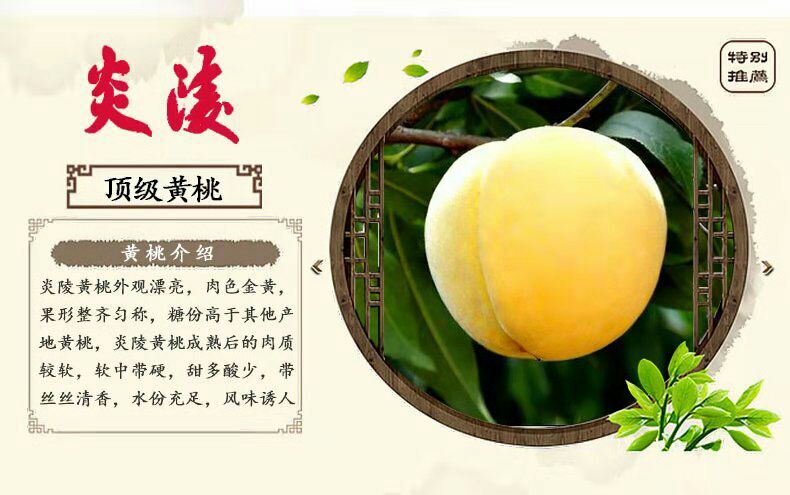 炎陵县 炎陵黄桃5斤装