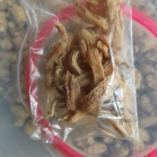 抚松县 试用装 天然新鲜无硫特级小天麻50g干货可切片磨粉长白山