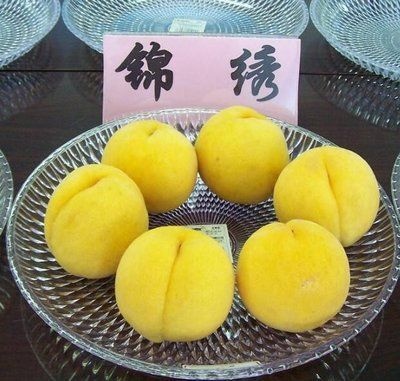大荔县2021年大荔县纸袋锦绣黄桃，个大味甜，值得拥有！
