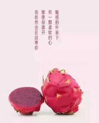 厦门 玫瑰红心火龙果，有机果园，益生菌培育，5-7两中级果。