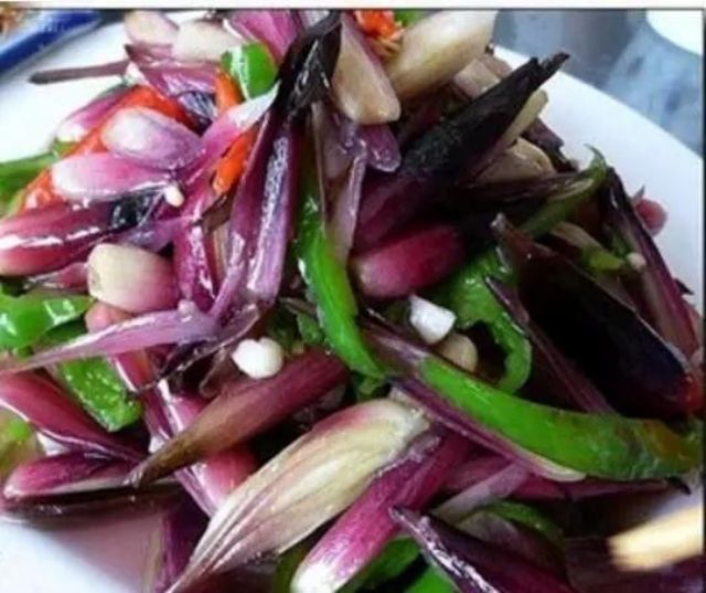 阳荷 ，治疼痛，药食两用，味道鲜美，泡莱，炒肉，凉拌纯山珍