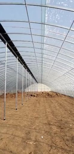 天津椭圆管骨架 椭圆管儿温室大棚。代替传统花量，使用寿命更长，承受能力更好
