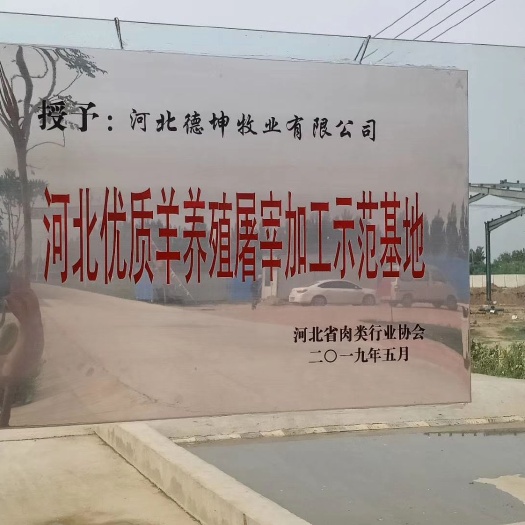 青县 达标出口欧盟有机标准的羊酮体