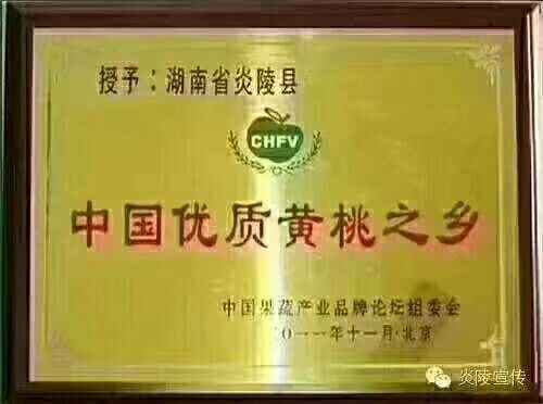 炎陵县 炎陵黄桃，果园直发，不打防腐剂。