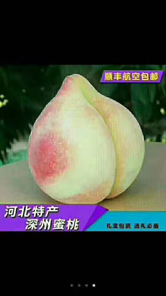  深州大蜜桃