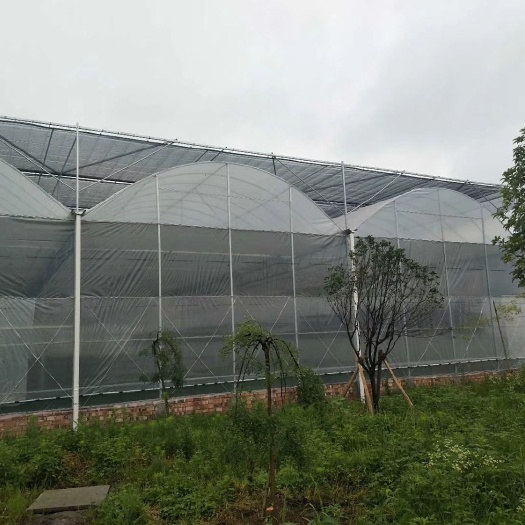 九江连栋棚 连栋大棚，连栋温室，蔬菜大棚，养殖大棚