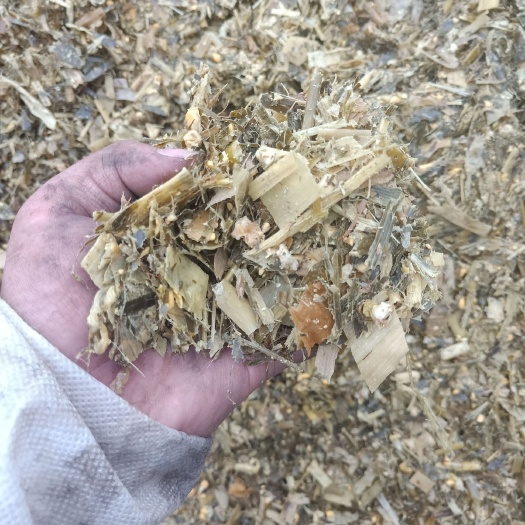 崇信县 优质牧草