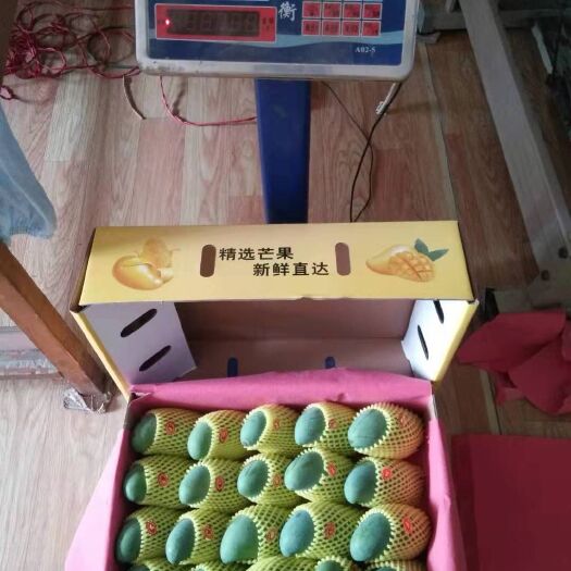 百色水果礼盒 自家基地，现摘现装