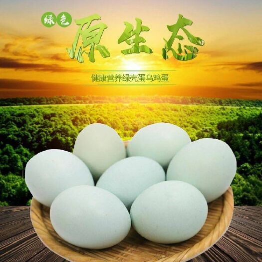 锦屏县 黔东南侗寨绿壳鸡蛋无公害绿色农产品五黑乌鸡蛋月子蛋
