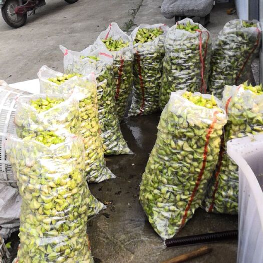 泰州 大青菱角