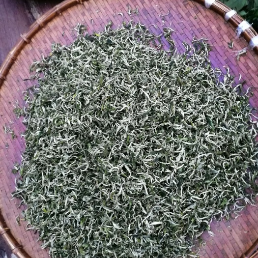 墨江县烘青绿茶  普洱市墨江高山茶叶，烘清绿茶，有雪牙白豪，云抗十号