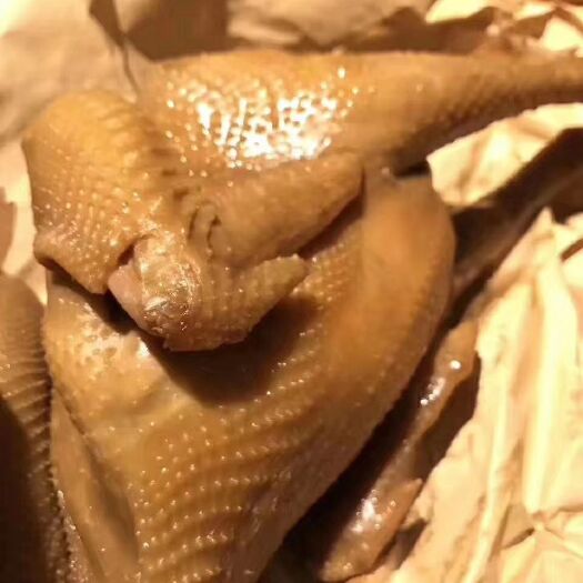 鹤壁红毛蛋鸡 2斤以下 母