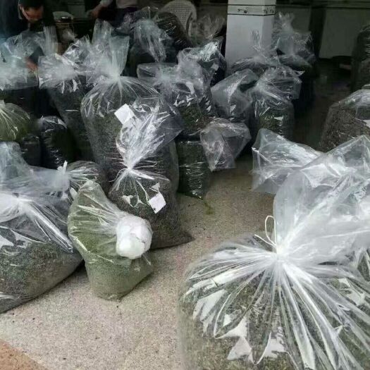 南靖县农家纯手工2021年春茶，清香铁观音