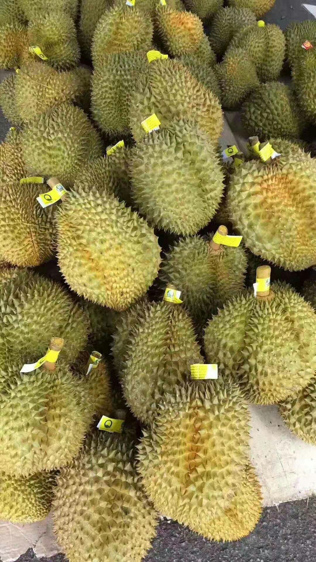 东南亚水果之王-金枕头榴莲