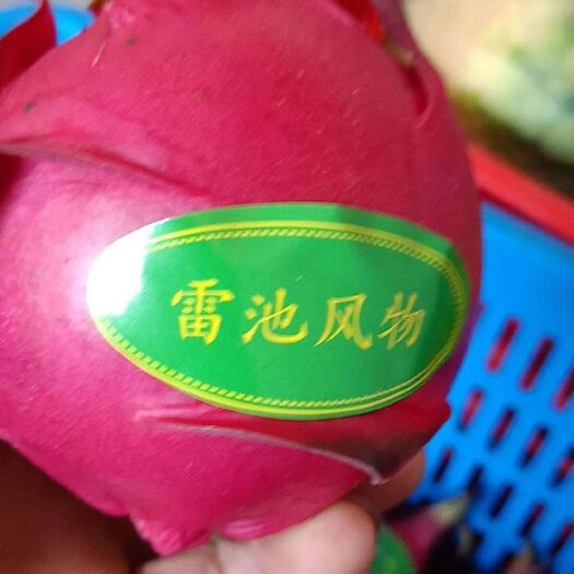 望江县 密宝红心火龙果