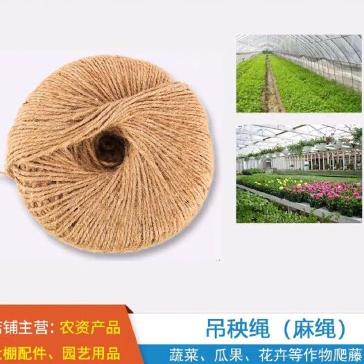 无锡 吊秧绳黄麻绳蔬菜瓜果藤蔓植物牵引绳爬藤吊秧线园艺大棚配件包邮