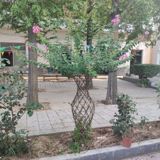 方城县其它农资  紫薇花瓶骨架 花瓶模具