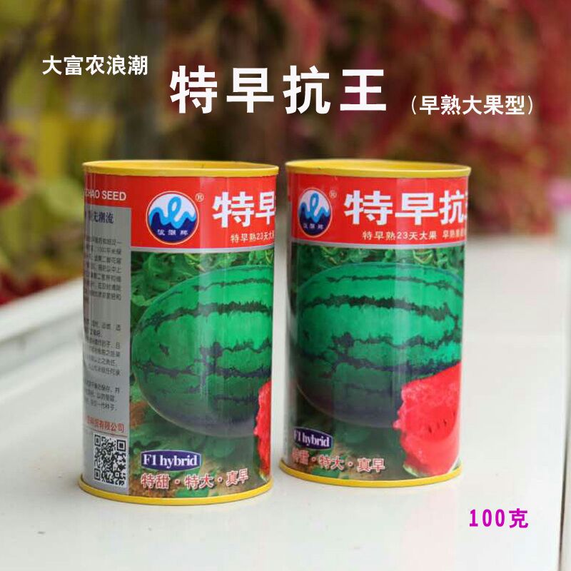 浪潮特早抗王西瓜种子早熟大果椭圆形皮薄耐裂抗病抗重茬高糖籽