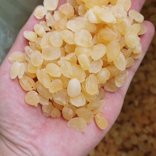 昆明 雪莲子又叫皂角米各规格大量批发