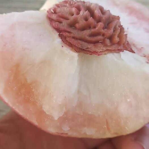 永济市红不软桃 红不软，离胡桃。口感纯甜。汁多肉厚，香味浓郁。硬度好耐运输。