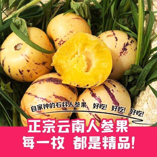 昆明 云南石林人参果圆果长果一件代发